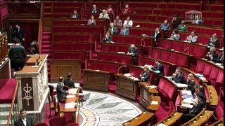 Assemblée nationale : Marc Le Fur défend les langues régionales