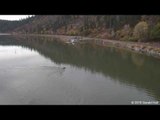 Drone Footage Captures Bear Swimming in Klamath Lake