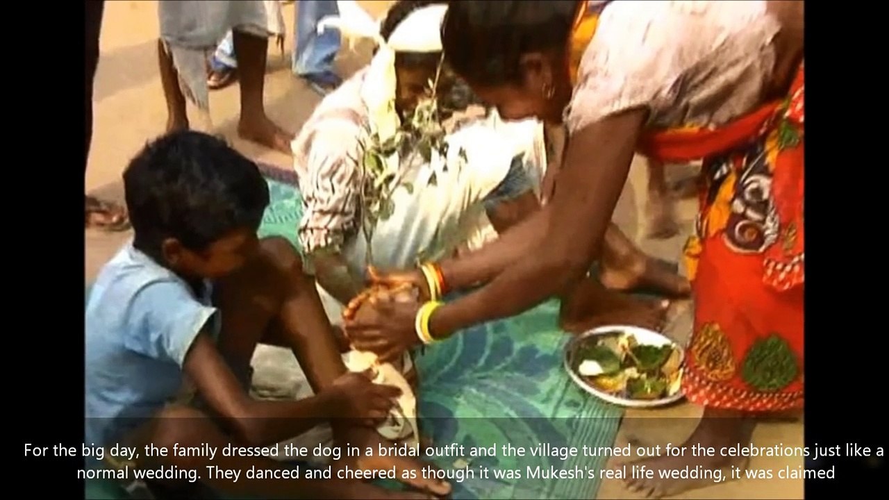 Menino de 7 anos FORÇADO a CASAR com CADELA VADIA! :O