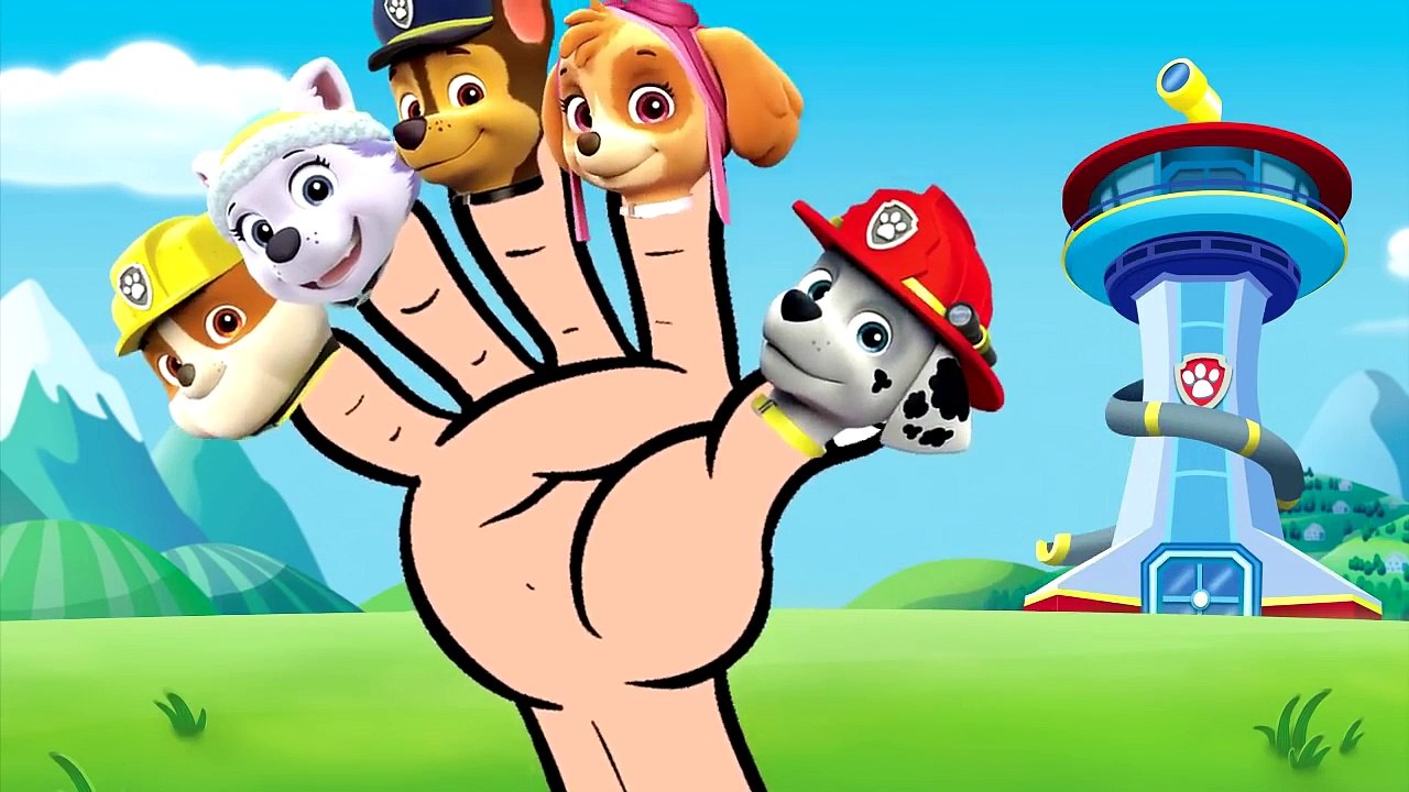 A FAMILIA DOS DEDOS PATRULHA CANINA FILHOTES FAMILY FINGERS PAW PATROL PUPS