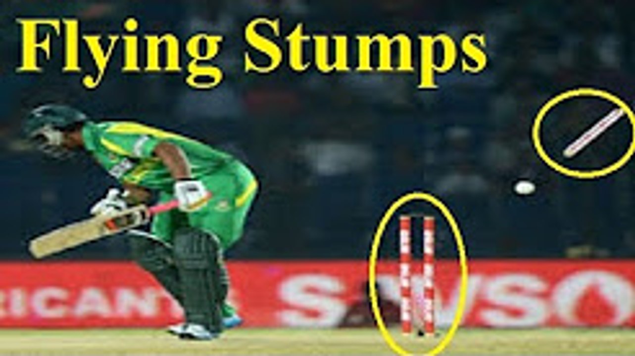 Best 5 flying cricket stumps