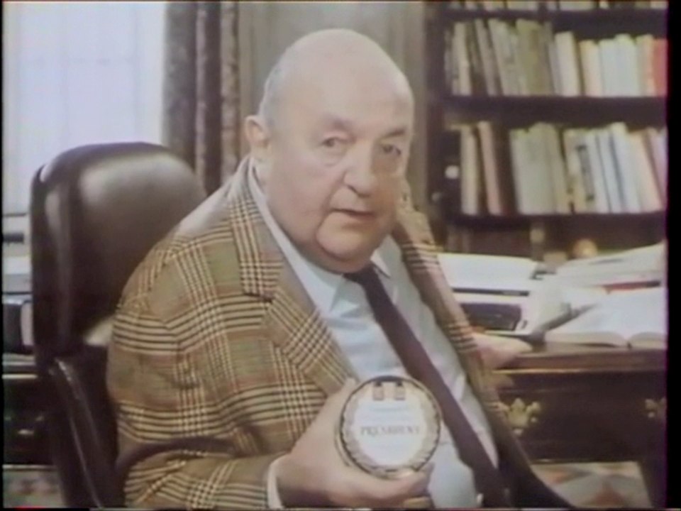 Page de Pubs Novembre 1987 (FR3)