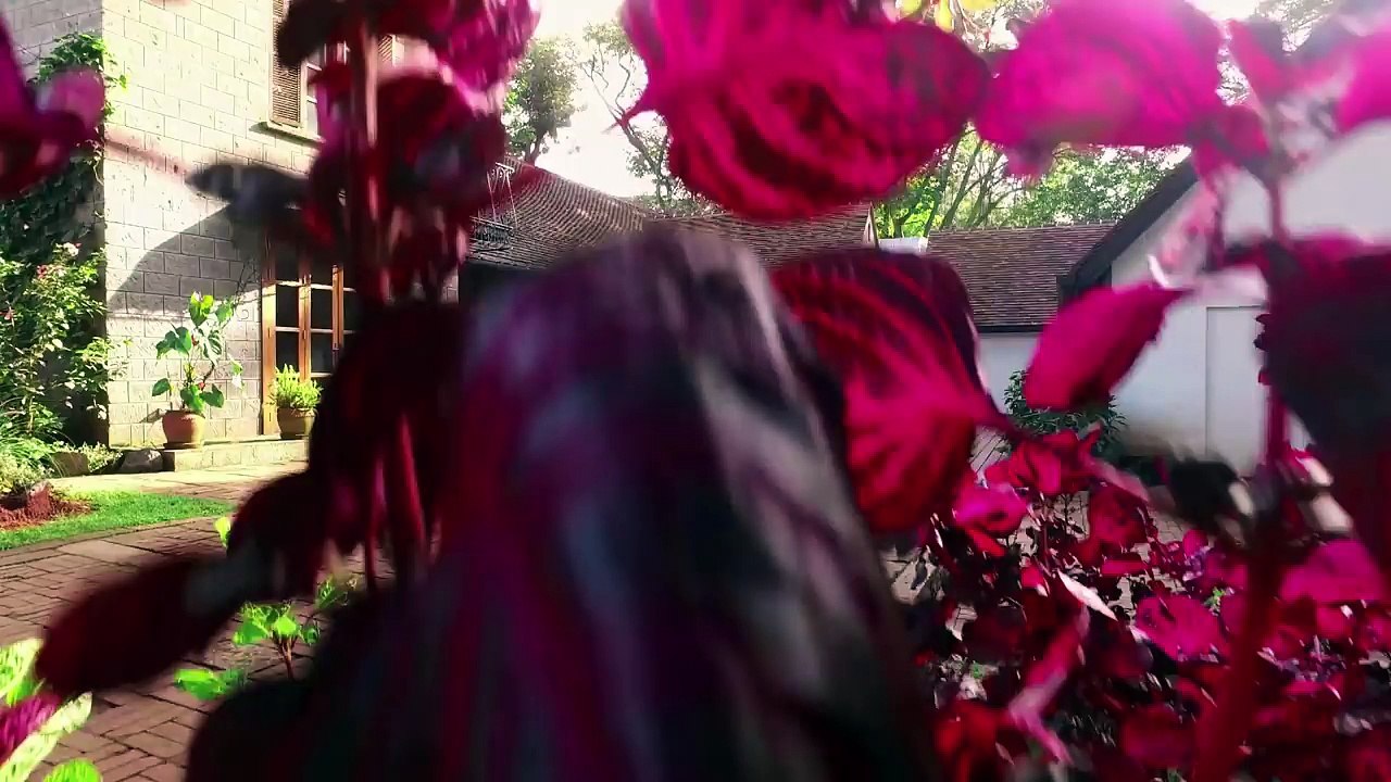 Cultural exchange with Efya & Eddy Kenzo - Coke Studio Africa