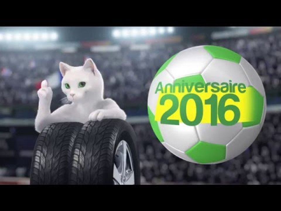 Publicité TV - "L'Anniversaire : par 2, c'est moins cher ! " avec Pierre Ménès (février 2016)