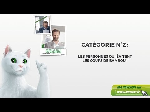 Catégorie n°2 : Ceux qui évitent les coups de bambou ! - Feu Vert (mai 2015)