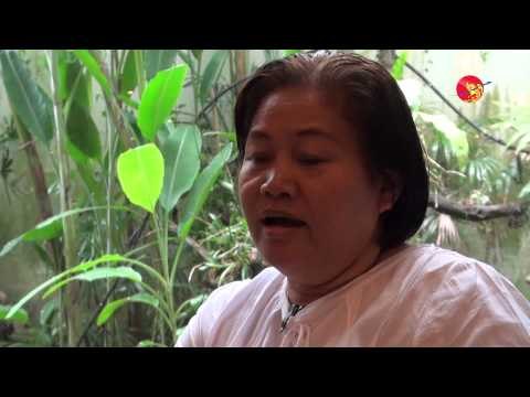 Interview with Naw Zipporah Sein