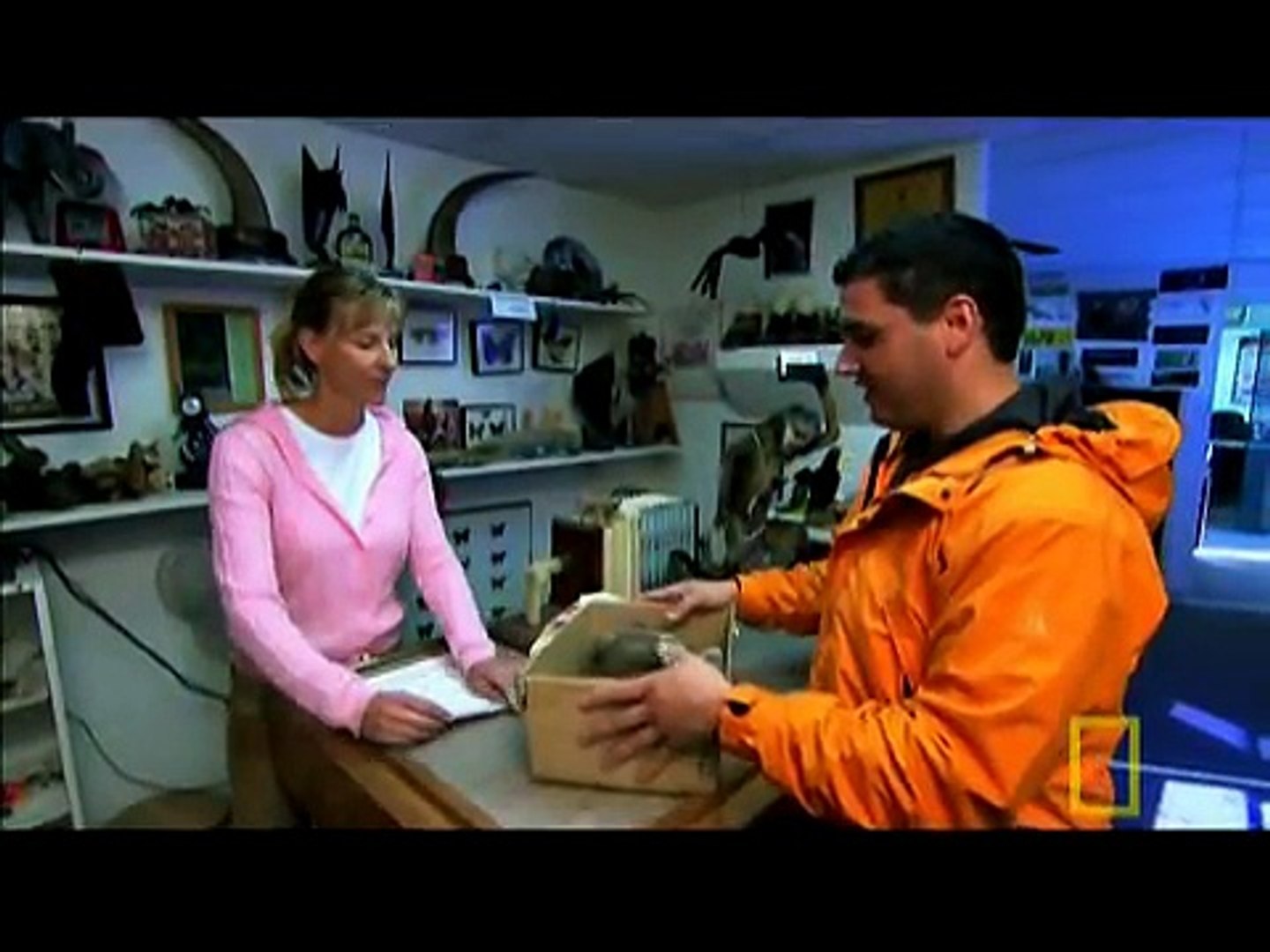 ⁣Stuffing Dead Pets | Taboo: Pets