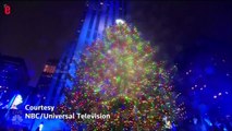 Le plus haut sapin de Noël d'Amérique a commencé à briller à New York