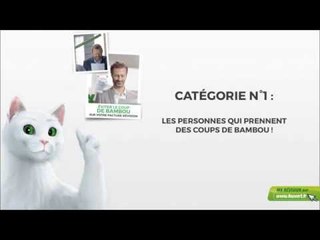 Catégorie n°1 : Ceux qui prennent des coups de bambou ! - Feu Vert (mai 2015)