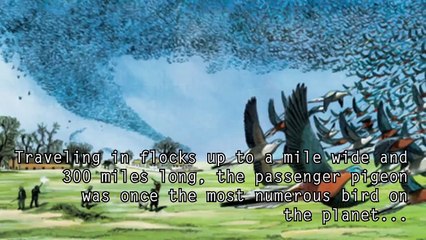 5 Extinct Animals That May Still Roam the Earth