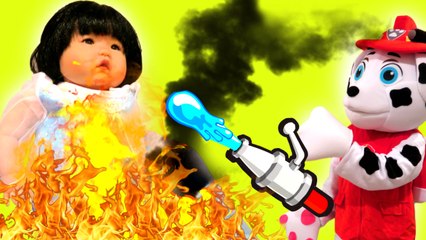 Spiderman vs Joker vs Frozen Elsa Baby On FIRE - Superhero Superstars , Paw Patrol, Real Hulk, Captain America