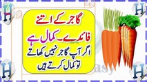 Carrot Benefits In Urdu || Urdu Health Tips ||  گاجر کے لاجواب فوائد