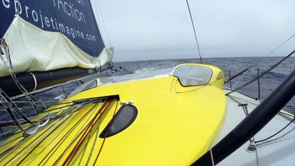 J26 : Les albatros accompagnent Thomas Ruyant dans sa course / Vendée Globe