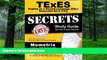 Best Price TExES English as a Second Language (ESL)/Generalist EC-6 (193) Secrets Study Guide: