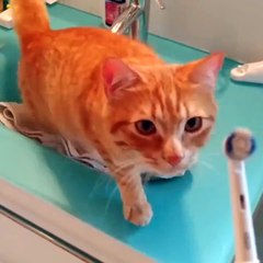 He's not gonna have any Cavities