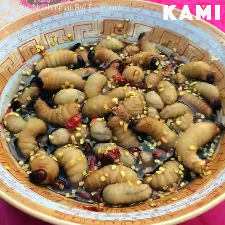 Eating with more alive  insects| Alive insects are ateing