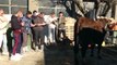 Hautes-Alpes : Les jeunes agriculteurs de Chorges dans la peau de juges