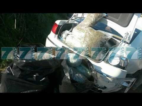 DISA OPERACIONE ANTIDROGE NE SHQIPERI, SEKUESTROHEN 286 KG HASHASH - News, Lajme - Kanali 9