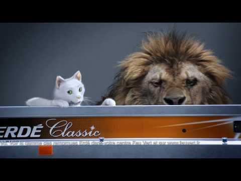 Feu Vert & Erdé - spot TV 22s.mpg