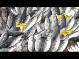 Palamut Tezgahta Yirmi Sene Önceki Fiyatını Gördü