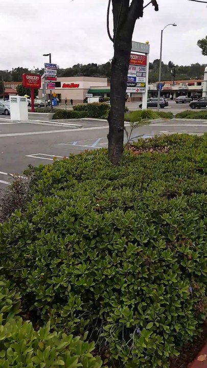 Crazy Woman with Two Butcher Knives Gets Tased