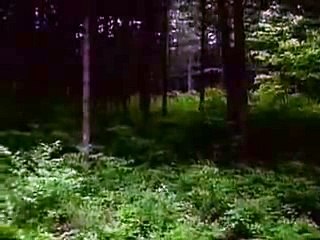 라이브카지노사이트ゑ／／ ＧＭ５５４。COM  ／／び베가스카지노