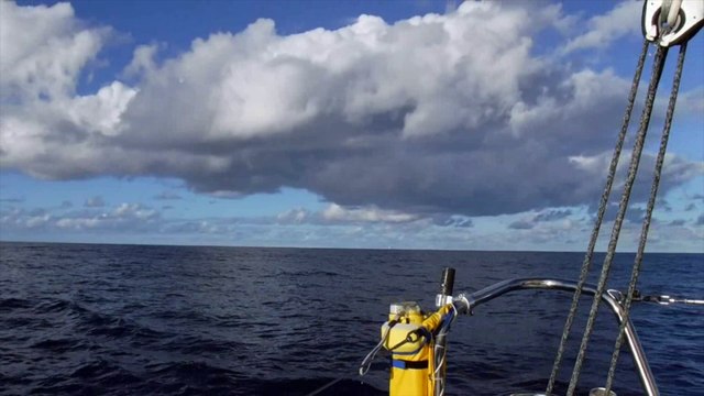 J26 : First albatros for Rich Wilson / Vendée Globe