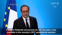 France's Hollande says will not stand for re-election