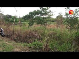 Htan Ta Bin Farmers Want Pasture Restored