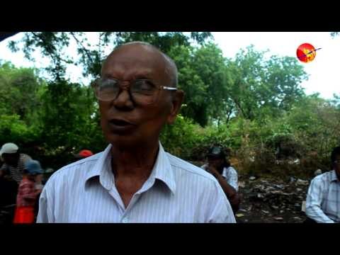 Burmese Traditional Ox and Cart Festival