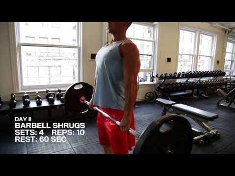 Trim in Six Day 2: Back/Biceps/Traps