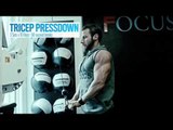 BULK UP: Chest, Shoulders, and Triceps Workout (Part 1)