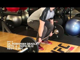 The Perfect Workout: Day II