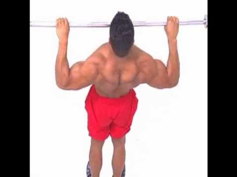 YLW Phase V Workout F