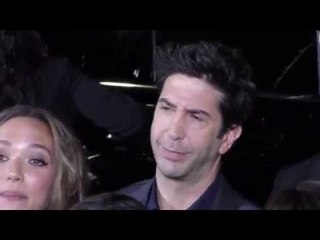 Why Fame 'Messed Up' David Schwimmer's Personal Life!