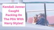 Kendall Jenner Caught Packing On The PDA With Harry Styles!