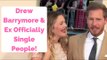 Drew Barrymore & Will Kopelman Officially Single People!