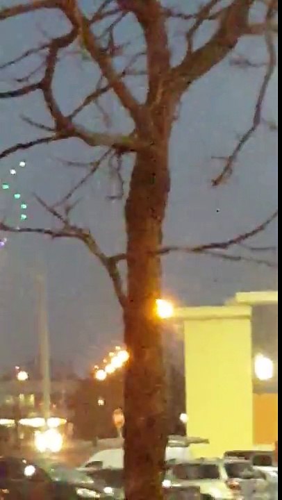 Alien UFO Craft Communicate Cryptic Message To Canada! "THEY'RE COMING"﻿ 12/1/2016.