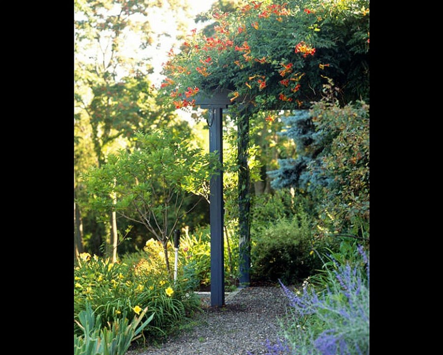 40 Front Yard and Backyard Landscaping Ideas