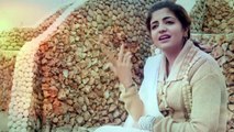 Pashto New Songs & Tappy 2017 Kashmala Gul - Tappy
