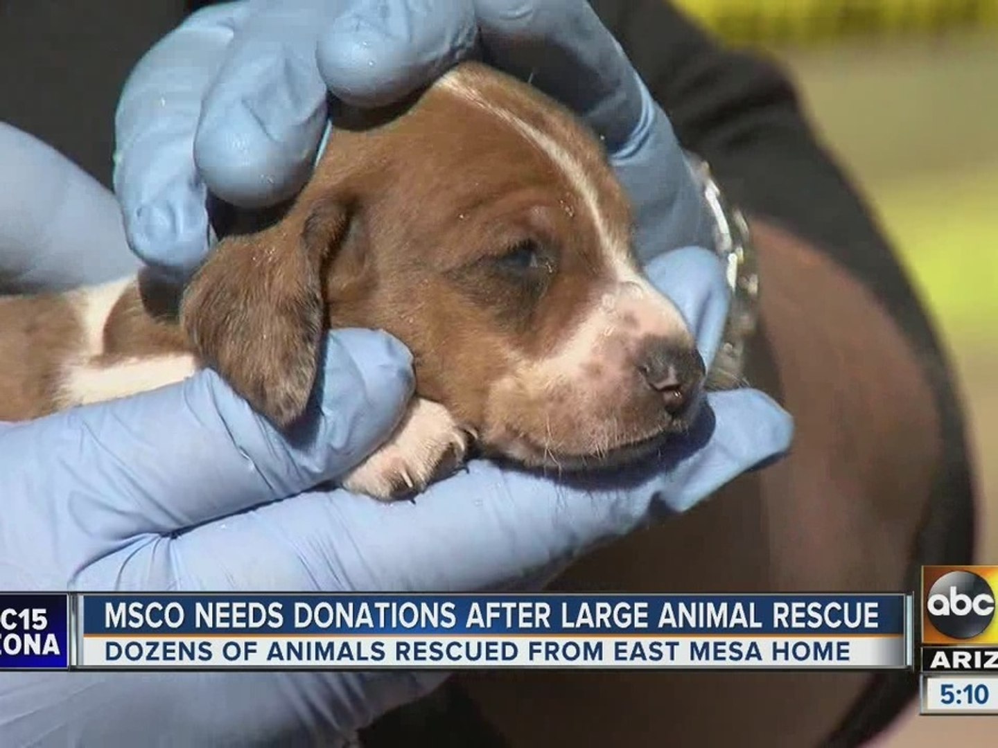 ⁣MCSO needs donations after large animal rescue