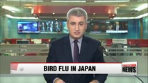 Japan says bird flu is same H5N6 strain detected in Korea
