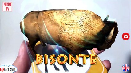 sonidos de animales para bebes de 1 año 3 meses| #4D | teaching children english.