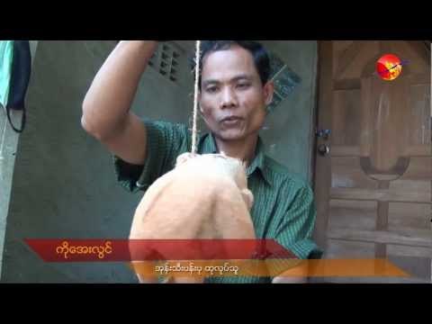 Sculpture of Coconut Husk