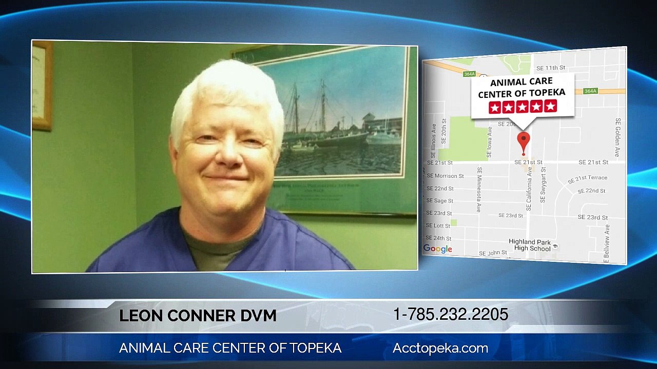 Leon Conner, DVM Of ANIMAL CARE CENTER OF TOPEKA: Terrific Helpful hints On How To Look For A Trustworthy Veterinary Services