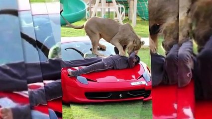 5 Outrageous Things Millionaires Do in Dubai