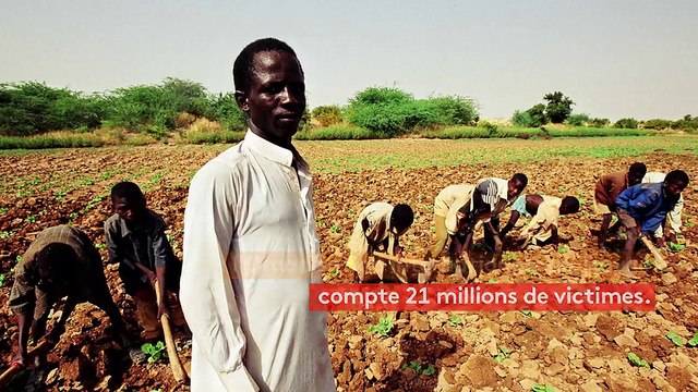 Journée internationale pour l'abolition de l'esclavage : le travail forcé reste une réalité