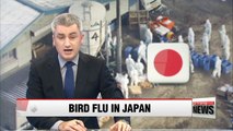 Japan says bird flu is same H5N6 strain detected in Korea