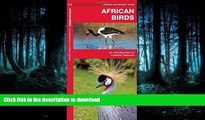 READ  African Birds: A Folding Pocket Guide to Familiar Species (Pocket Naturalist Guide Series)