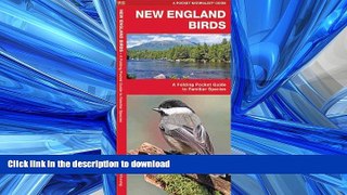 READ BOOK  New England Birds: A Folding Pocket Guide to Familiar Species (Pocket Naturalist Guide